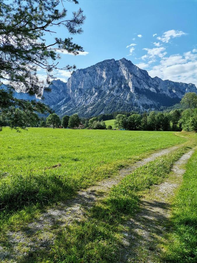 Haus Bergblick Fruehstueckspension Oberort Eksteriør billede