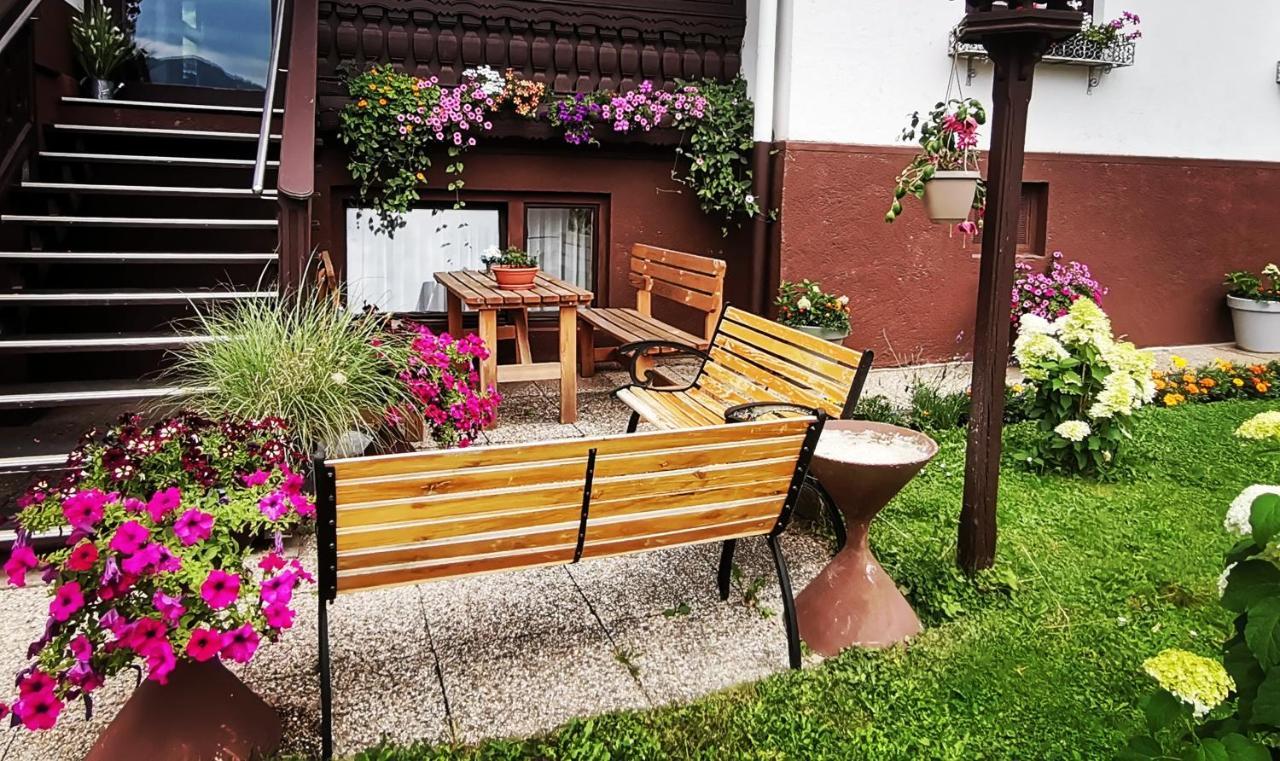 Haus Bergblick Fruehstueckspension Oberort Eksteriør billede